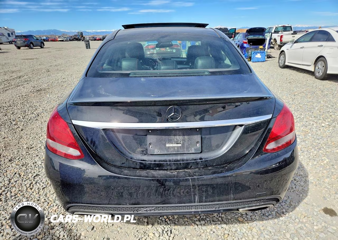 2017 Mercedes-Benz C 300 4Matic VIN:55SWF4KB5HU206604 - 6