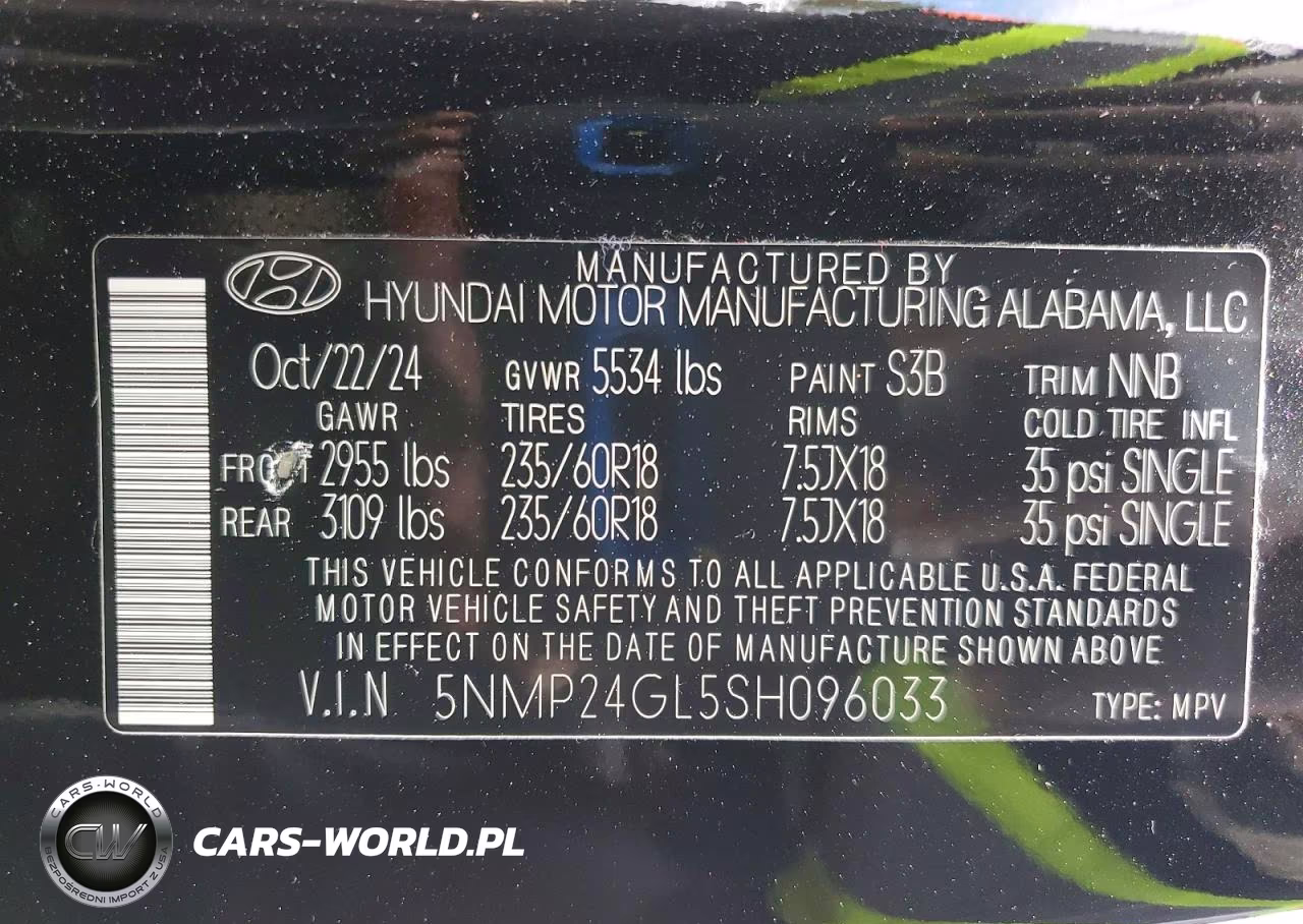 2025 Hyundai Santa Fe Sel VIN:5NMP24GL5SH096033 - 13