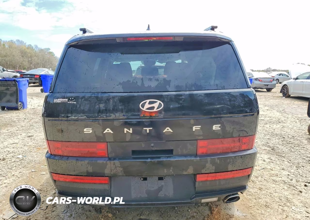 2025 Hyundai Santa Fe Sel VIN:5NMP24GL5SH096033 - 6