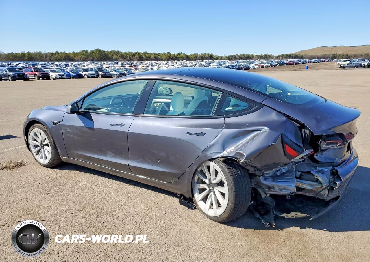 2023 Tesla Model 3 VIN:5YJ3E1EAXPF641027 - 2