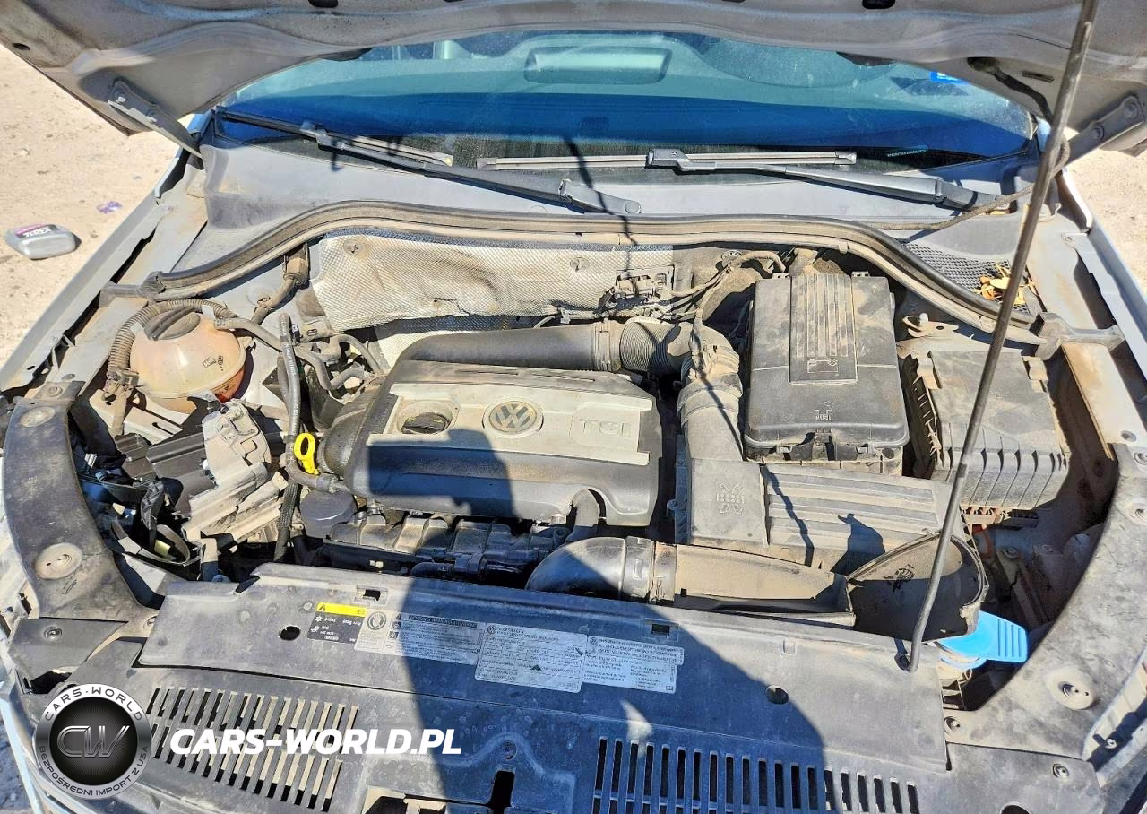 2014 Volkswagen Tiguan S VIN:WVGBV3AX2EW508476 - 11
