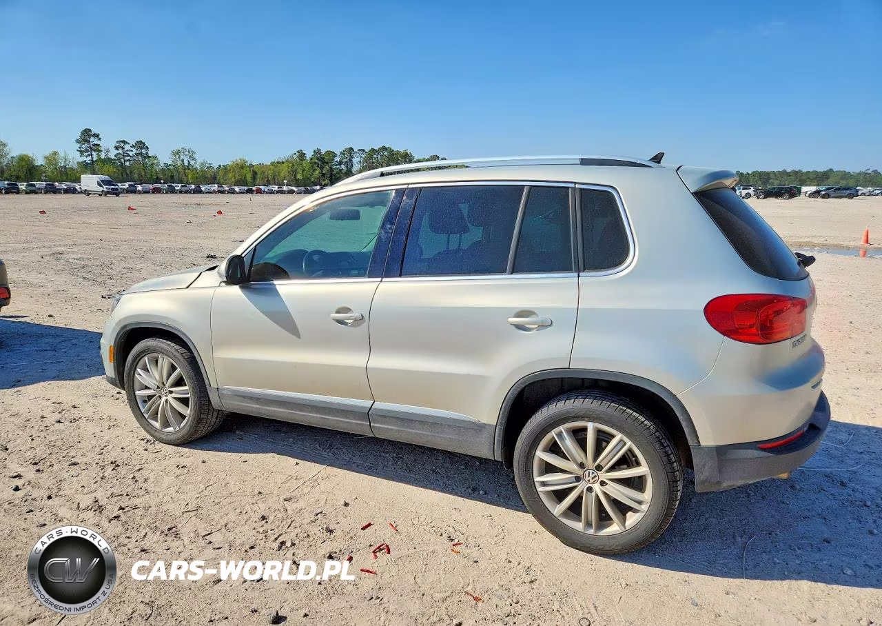 2014 Volkswagen Tiguan S VIN:WVGBV3AX2EW508476 - 2