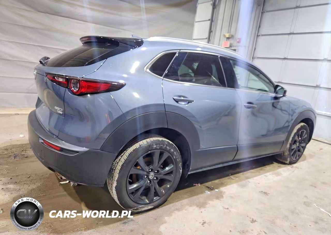 2021 Mazda Cx-30 Premium VIN:3MVDMBDY9MM310327 - 3