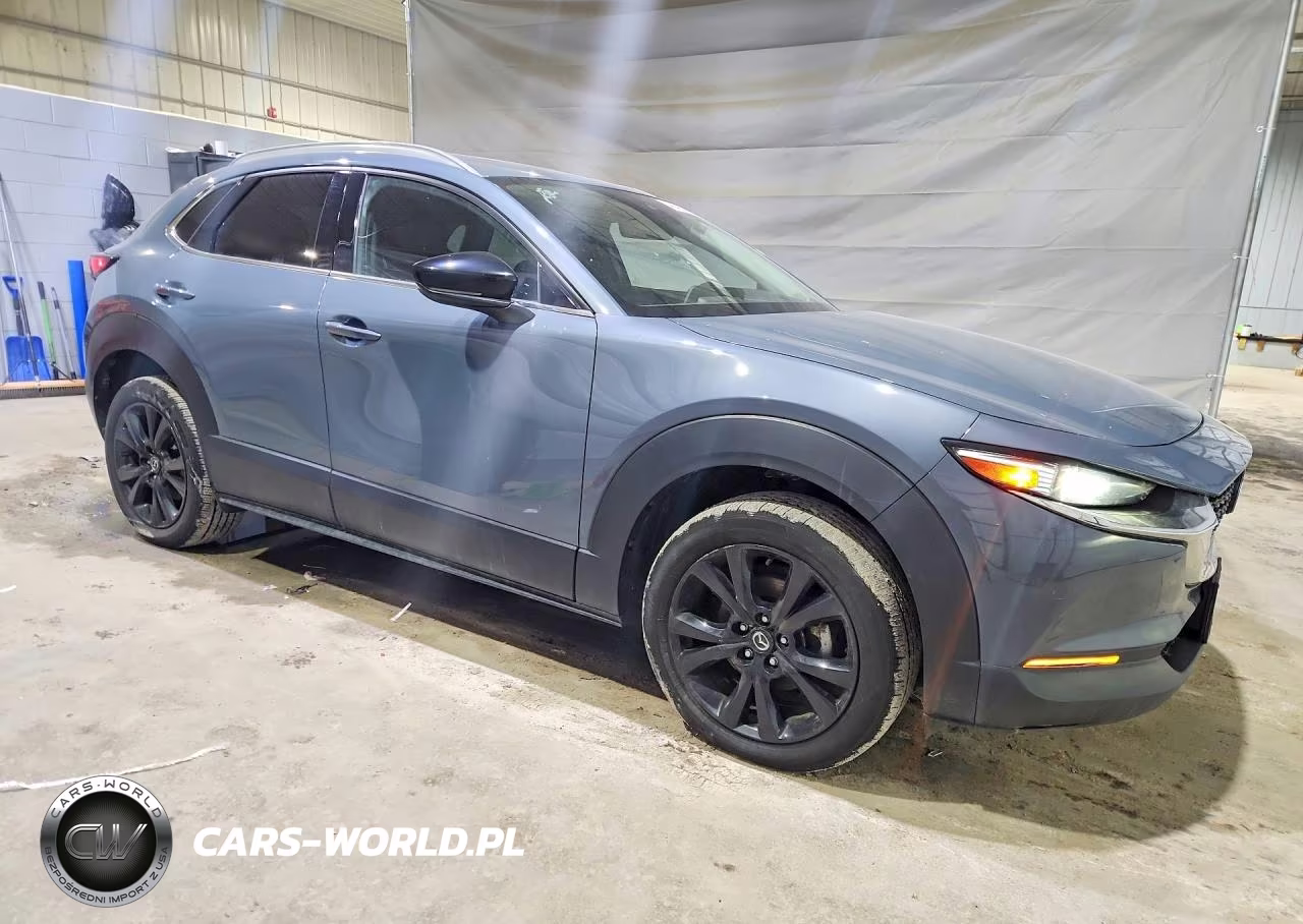 2021 Mazda Cx-30 Premium VIN:3MVDMBDY9MM310327 - 4