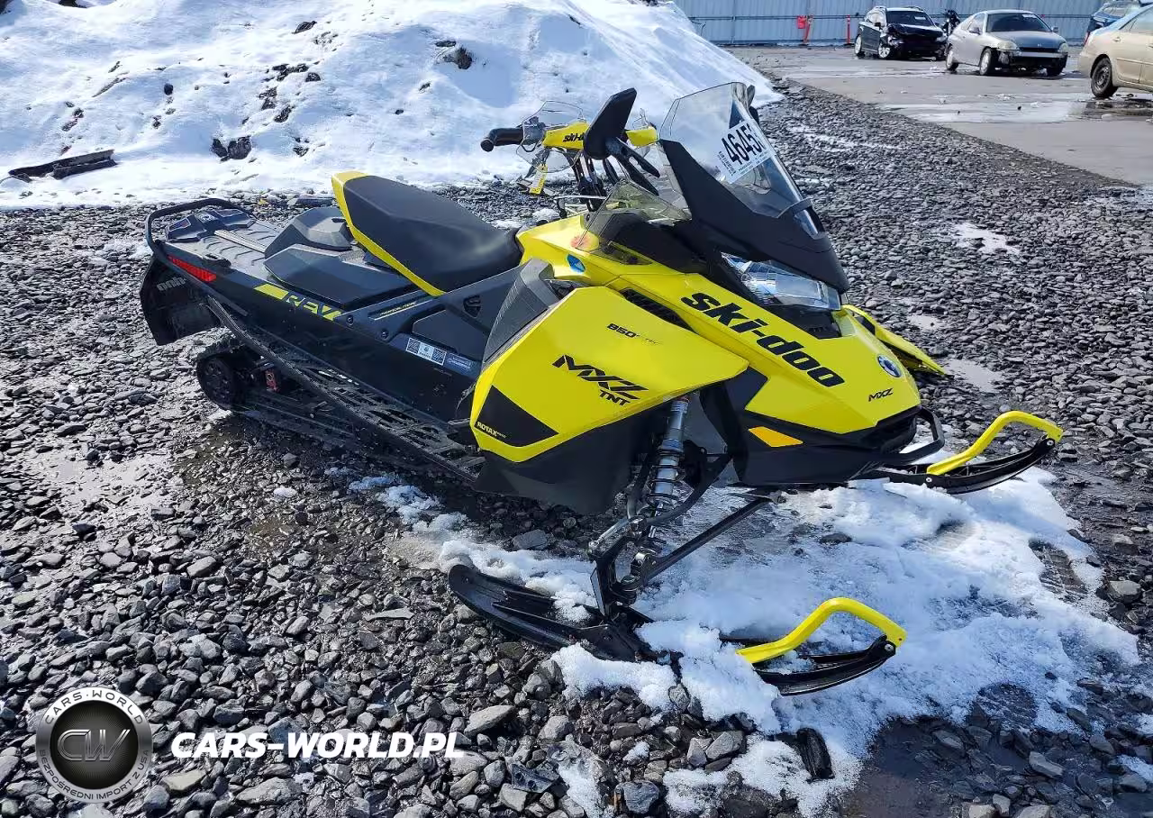 2020 Other Automobile Snowmobile