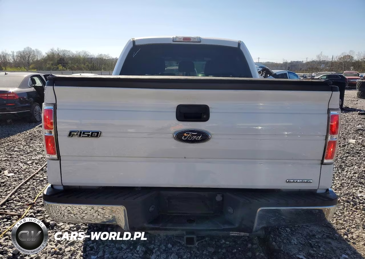 2014 Ford F150 Supercrew VIN:1FTFW1CF1EFC00887 - 6