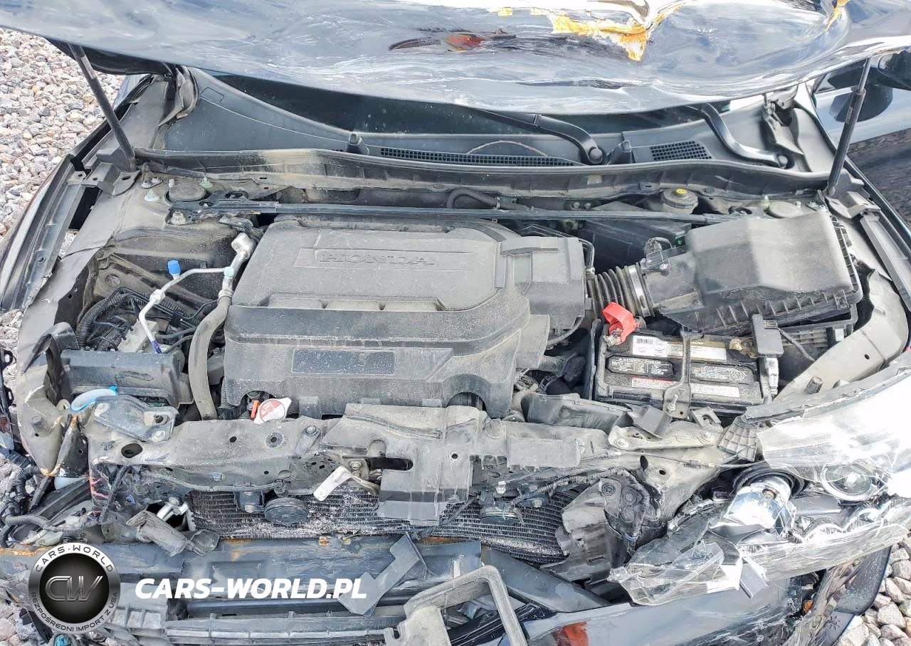 2013 Honda Accord Exl VIN:1HGCR3F89DA007497 - 11