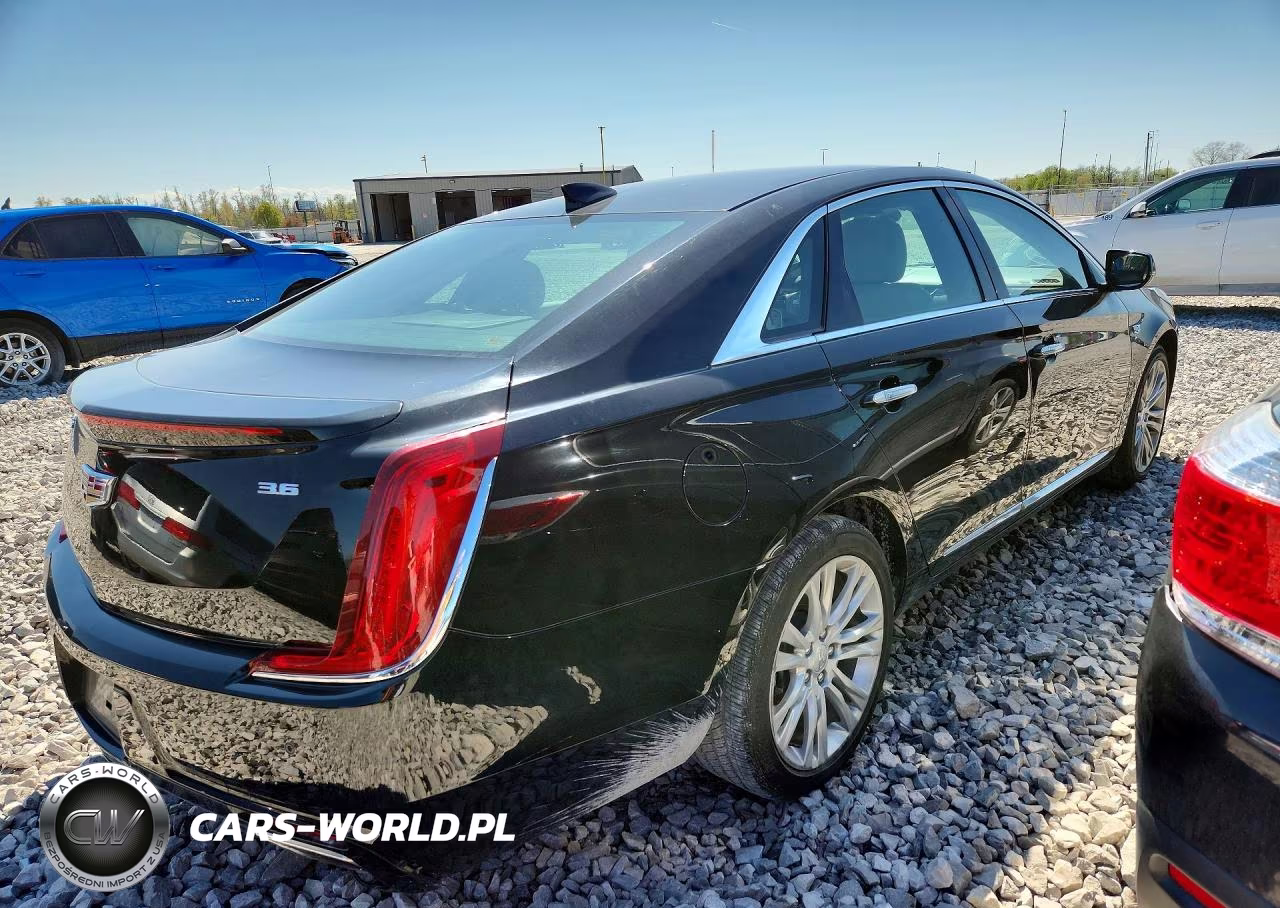 2019 Cadillac Xts Luxury VIN:2G61M5S37K9113890 - 3