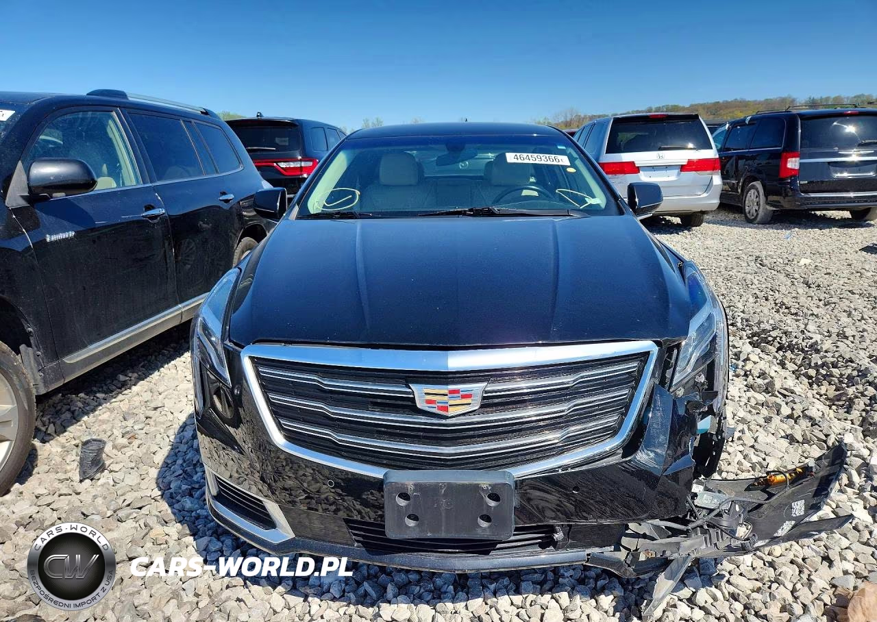 2019 Cadillac Xts Luxury VIN:2G61M5S37K9113890 - 5