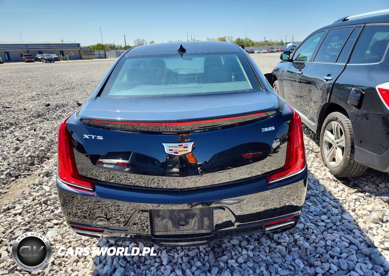 2019 Cadillac Xts Luxury VIN:2G61M5S37K9113890 - 6