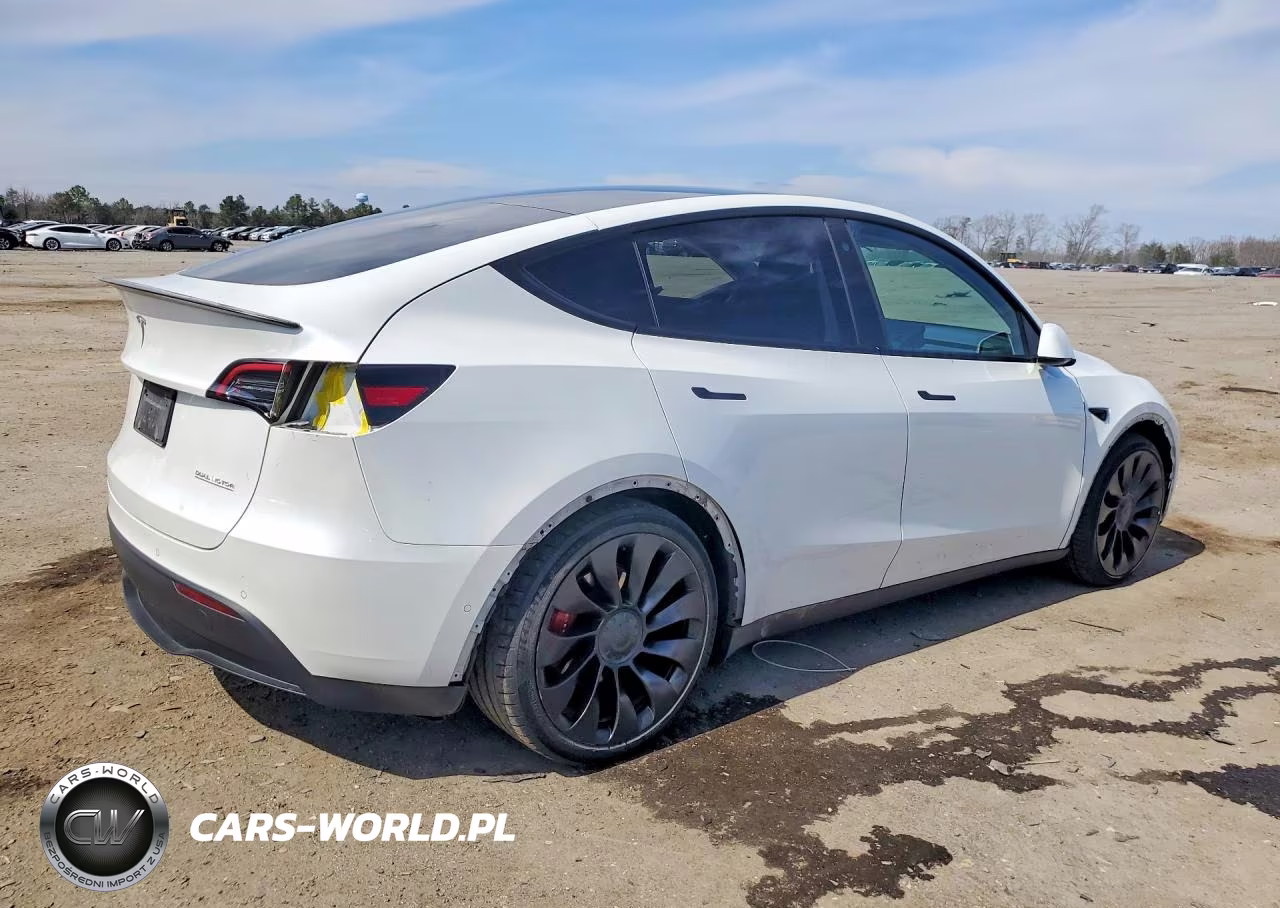 2022 Tesla Model Y VIN:7SAYGDEFXNF308114 - 3