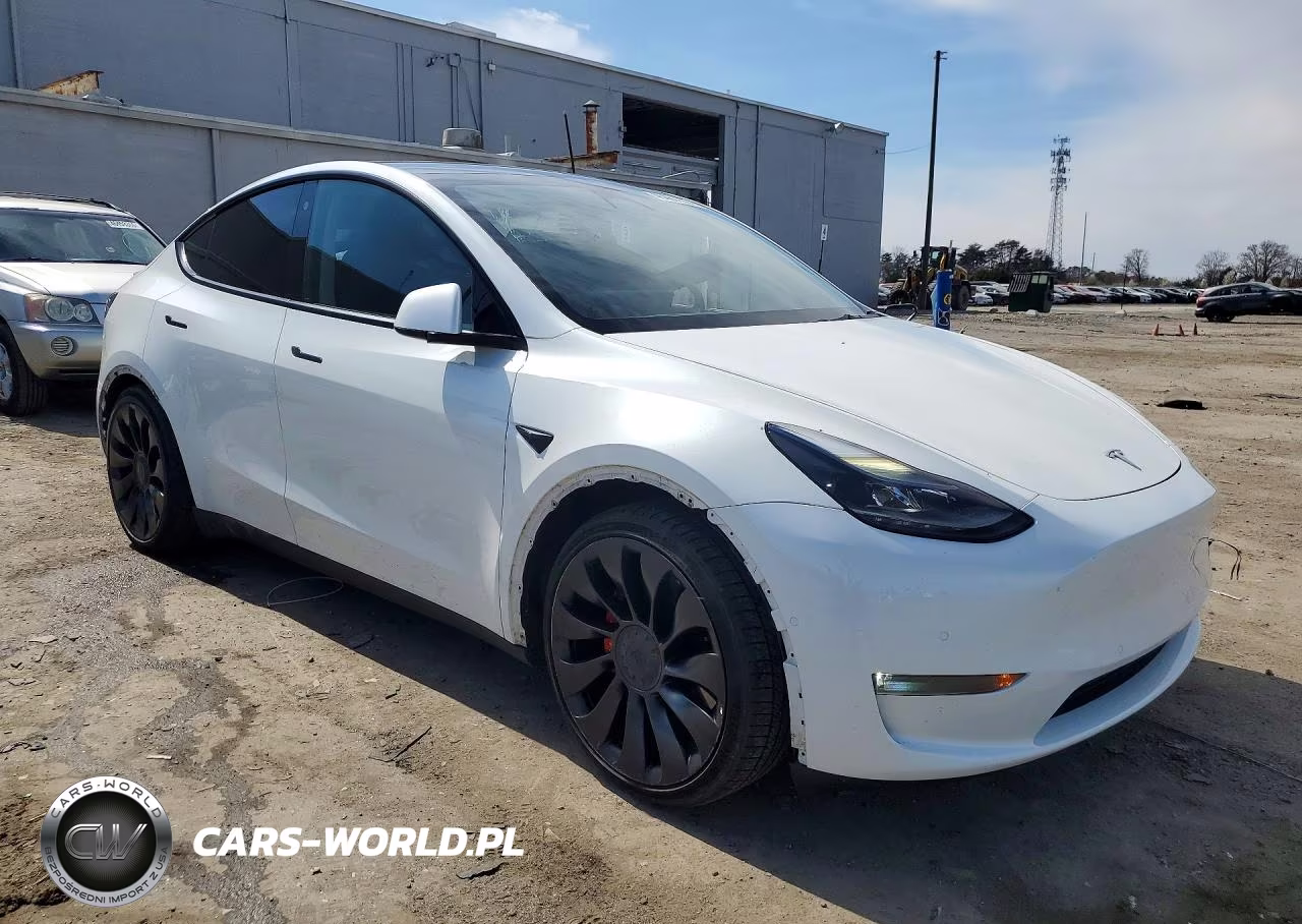 2022 Tesla Model Y VIN:7SAYGDEFXNF308114 - 4