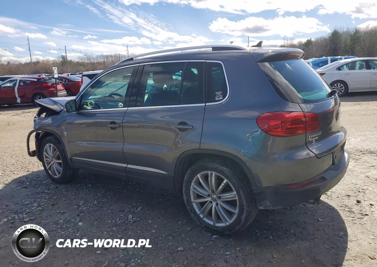 2014 Volkswagen Tiguan S VIN:WVGBV3AX6EW555994 - 2