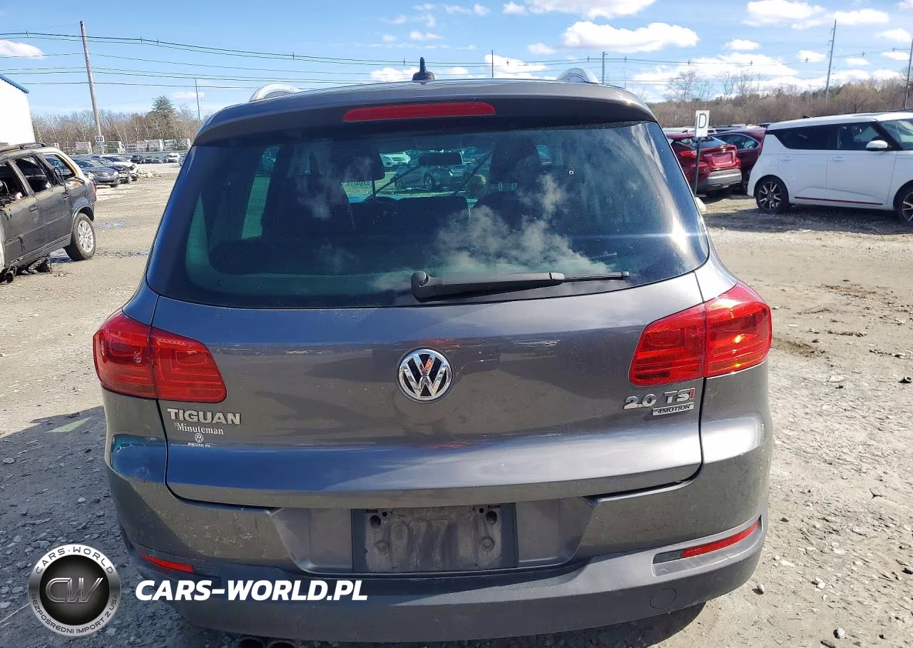 2014 Volkswagen Tiguan S VIN:WVGBV3AX6EW555994 - 6
