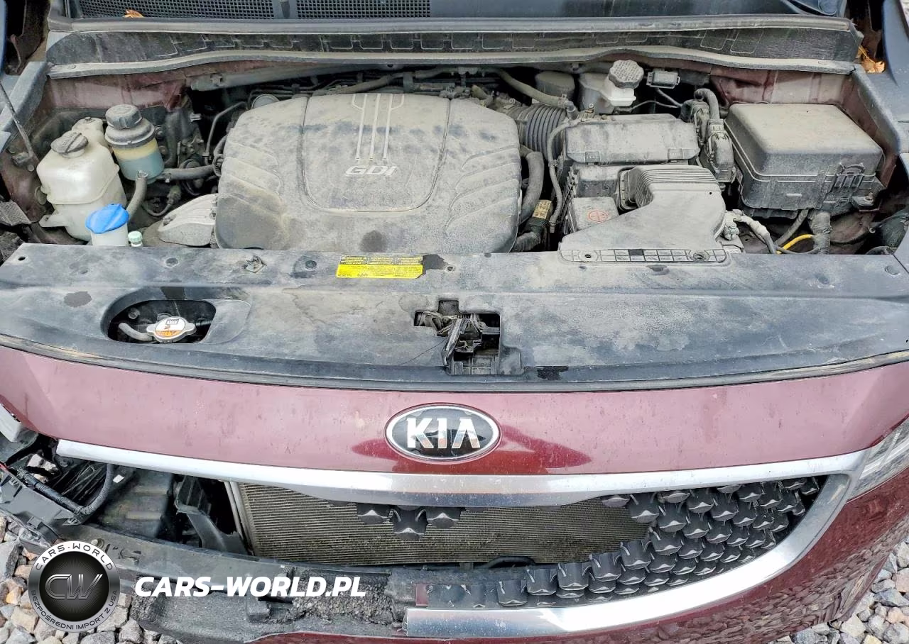 2016 Kia Sedona Lx VIN:KNDMB5C1XG6161234 - 12