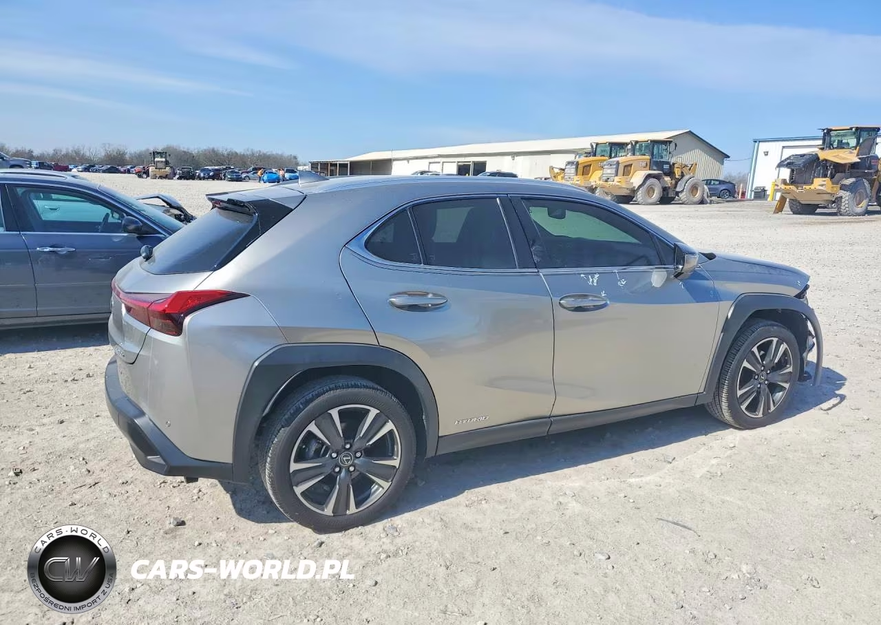 2019 Lexus Ux 250H Base VIN:JTHU9JBH3K2015890 - 3