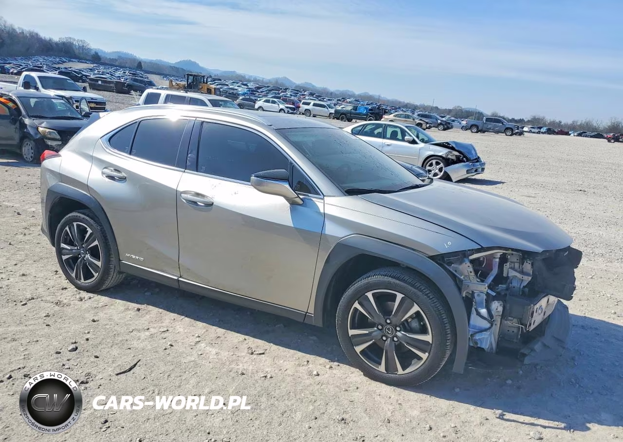 2019 Lexus Ux 250H Base VIN:JTHU9JBH3K2015890 - 4