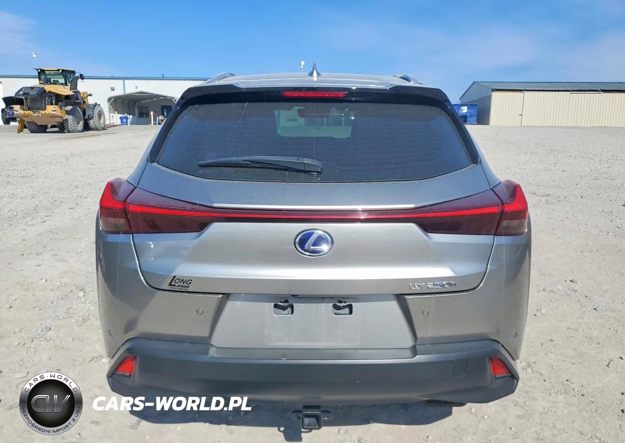 2019 Lexus Ux 250H Base VIN:JTHU9JBH3K2015890 - 6
