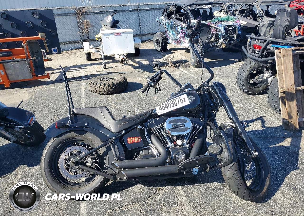 2016 Harley-Davidson Flss