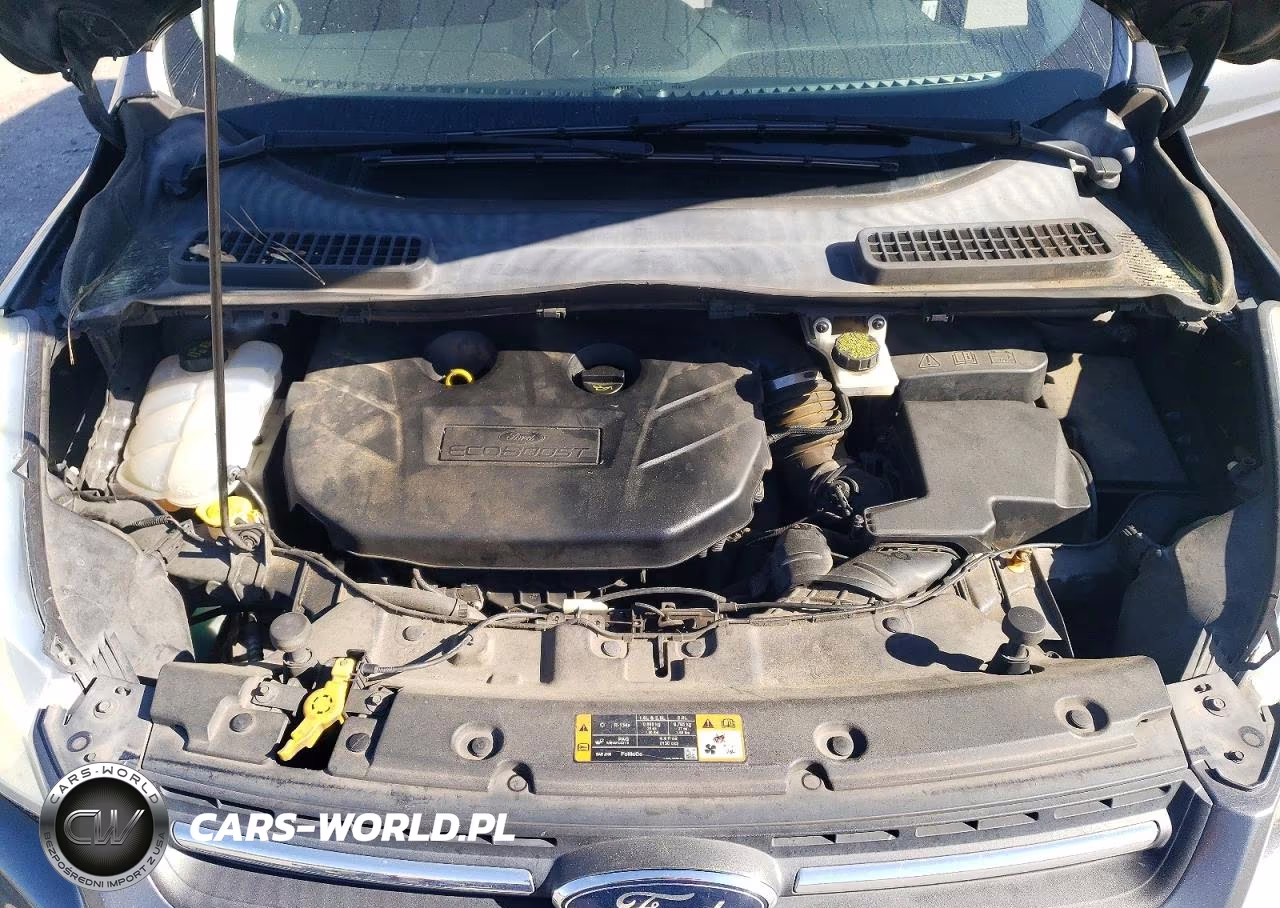 2016 Ford Escape Se VIN:1FMCU0G99GUA31266 - 12