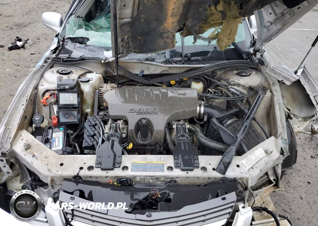 2004 Chevrolet Impala Ls VIN:2G1WH52K349458585 - 11