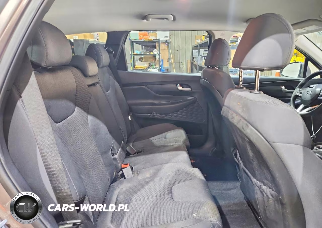 2019 Hyundai Santa Fe Se 2.4L VIN:5NMS2CAD7KH123948 - 11