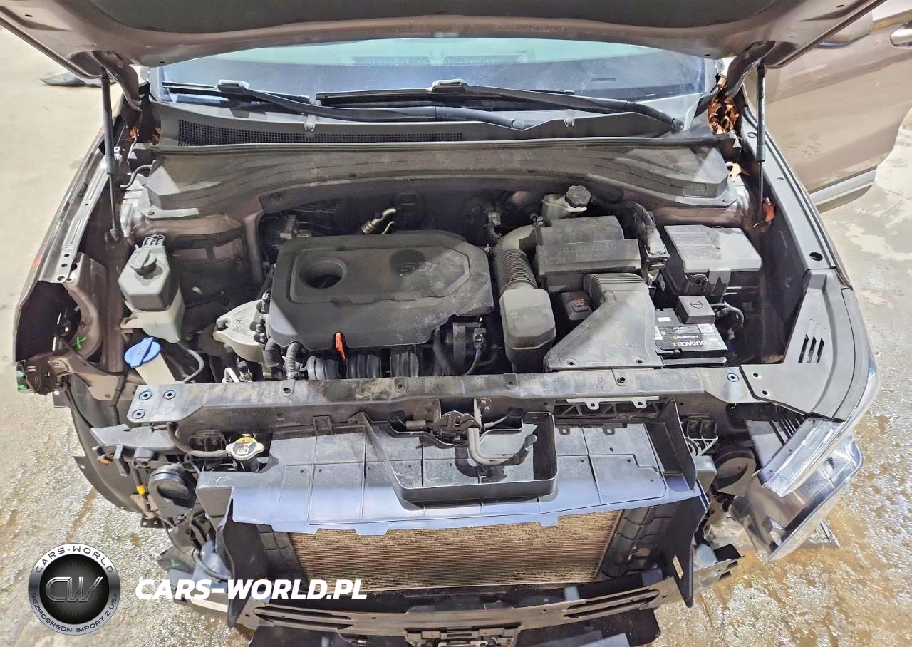 2019 Hyundai Santa Fe Se 2.4L VIN:5NMS2CAD7KH123948 - 12