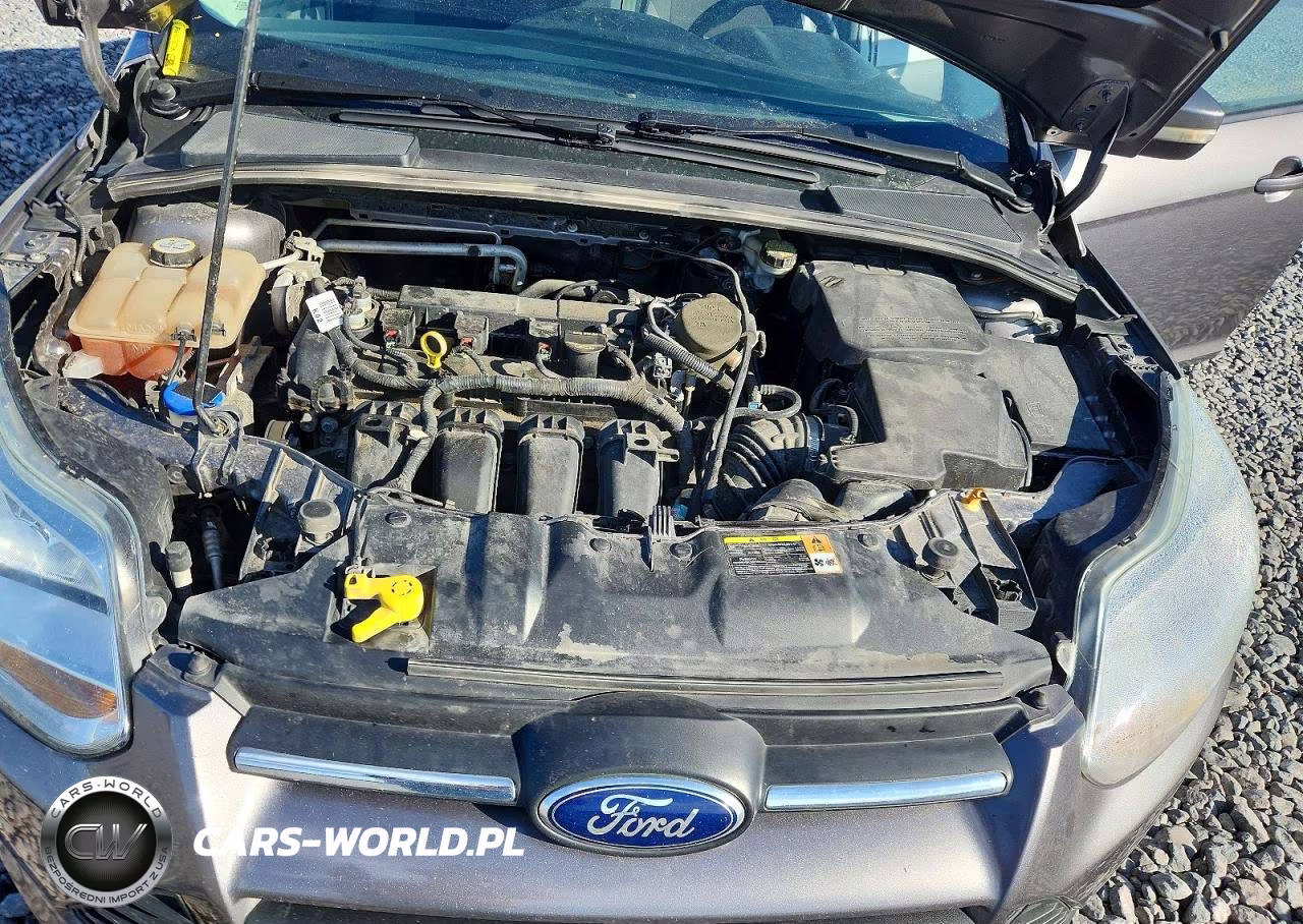 2013 Ford Focus Se VIN:1FADP3F24DL242565 - 11