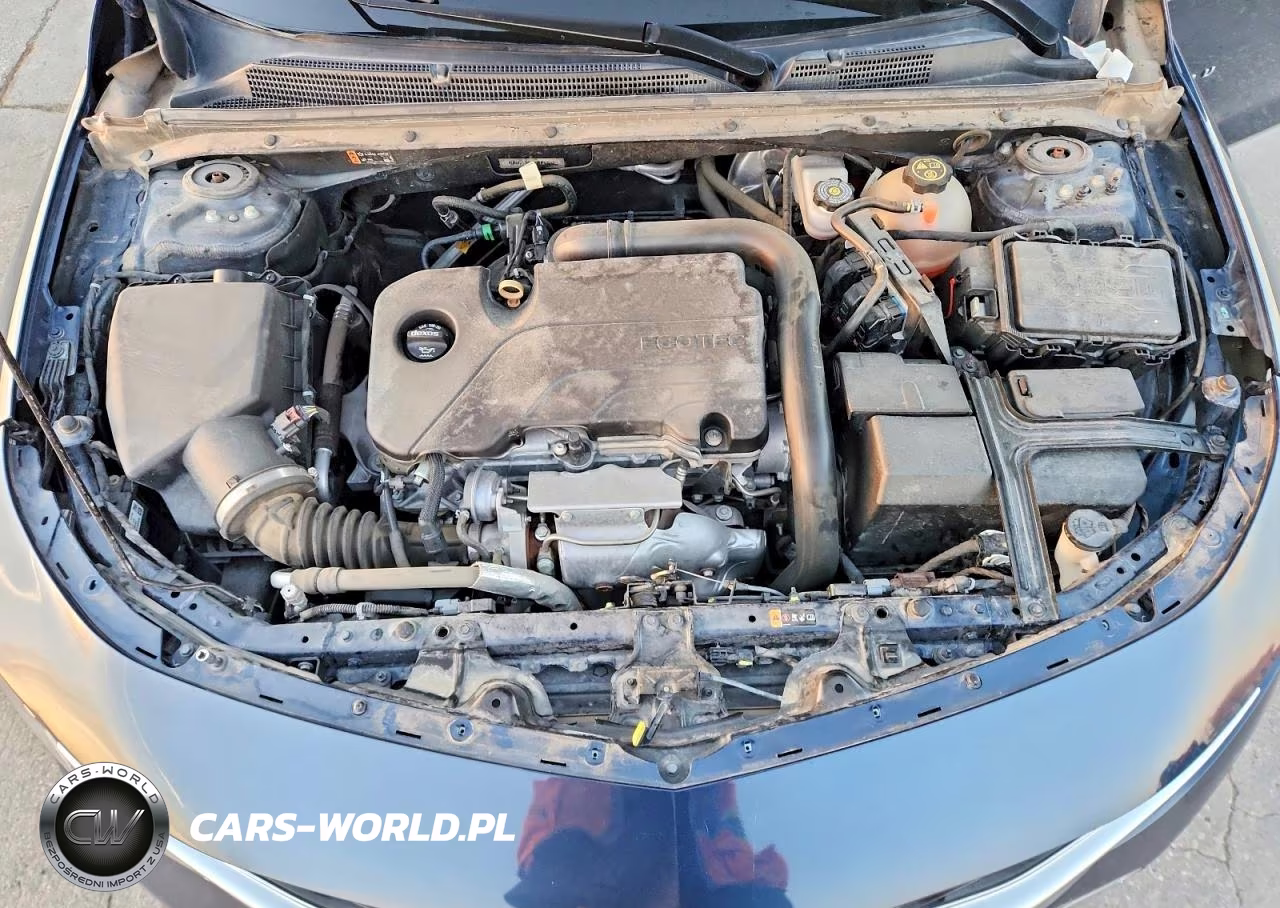 2019 Chevrolet Malibu Lt VIN:1G1ZD5STXKF124446 - 11