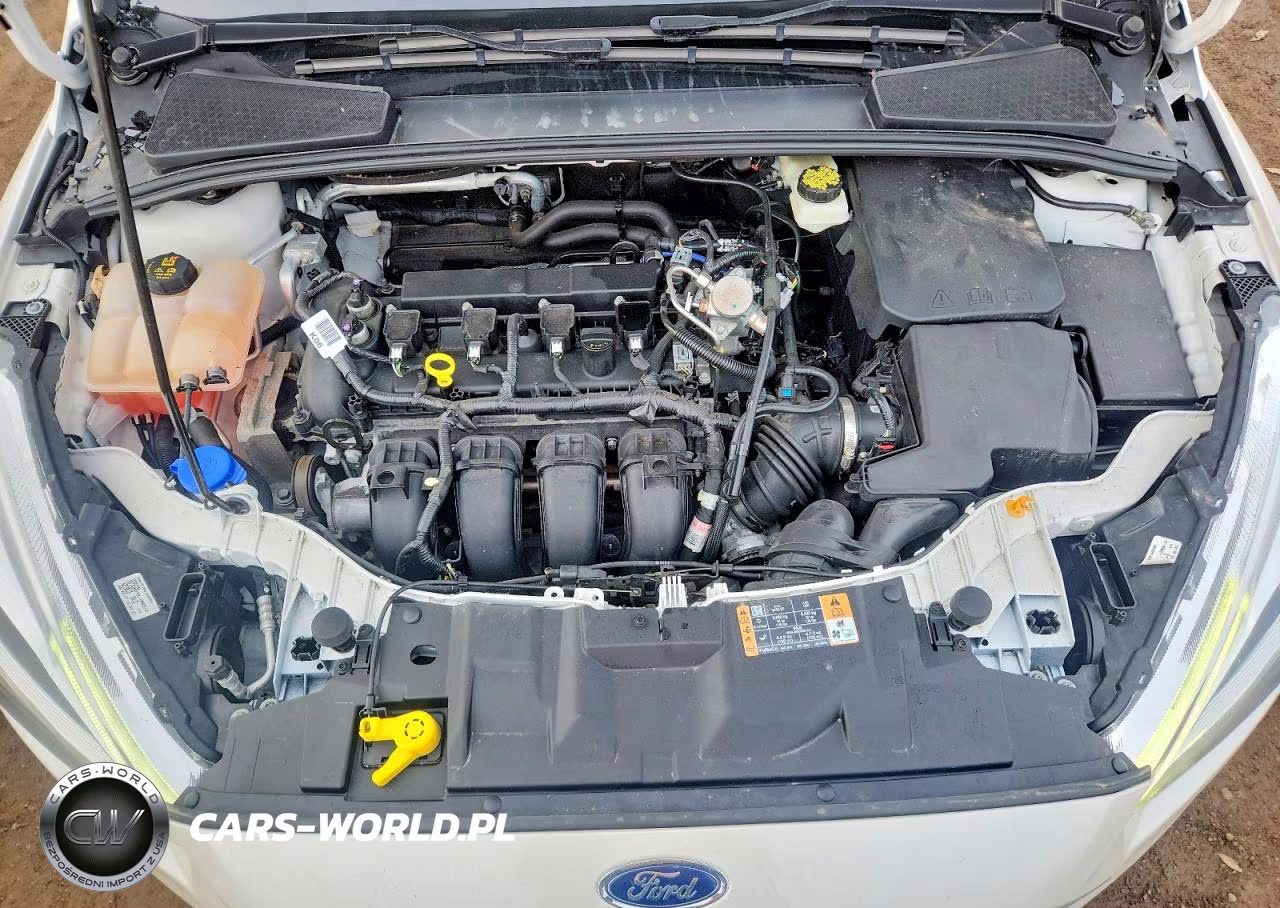 2017 Ford Focus Titanium VIN:1FADP3N23HL265939 - 11