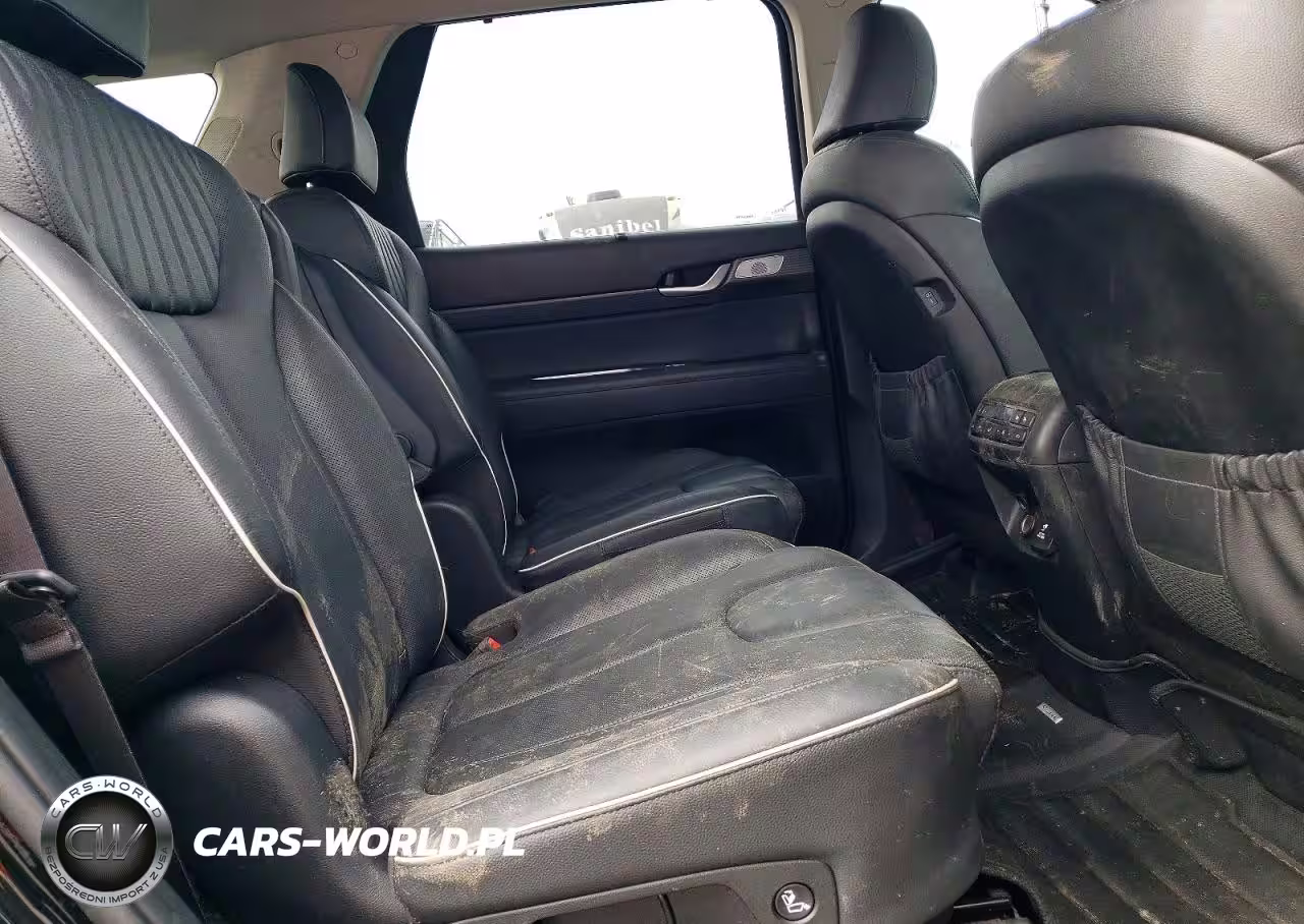 2023 Hyundai Palisade Limited VIN:KM8R5DGE0PU565509 - 10