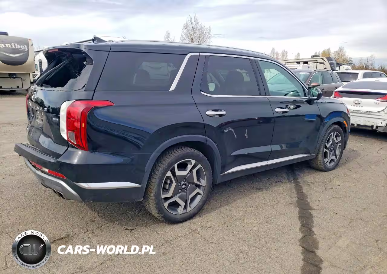 2023 Hyundai Palisade Limited VIN:KM8R5DGE0PU565509 - 3