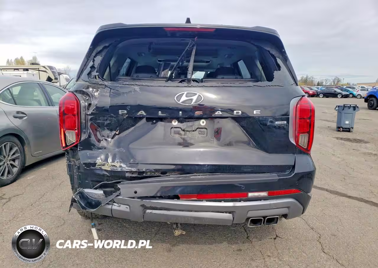 2023 Hyundai Palisade Limited VIN:KM8R5DGE0PU565509 - 6