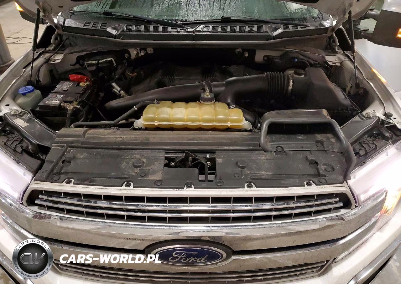 2019 Ford F150 Supercrew VIN:1FTFW1E49KFB72179 - 11