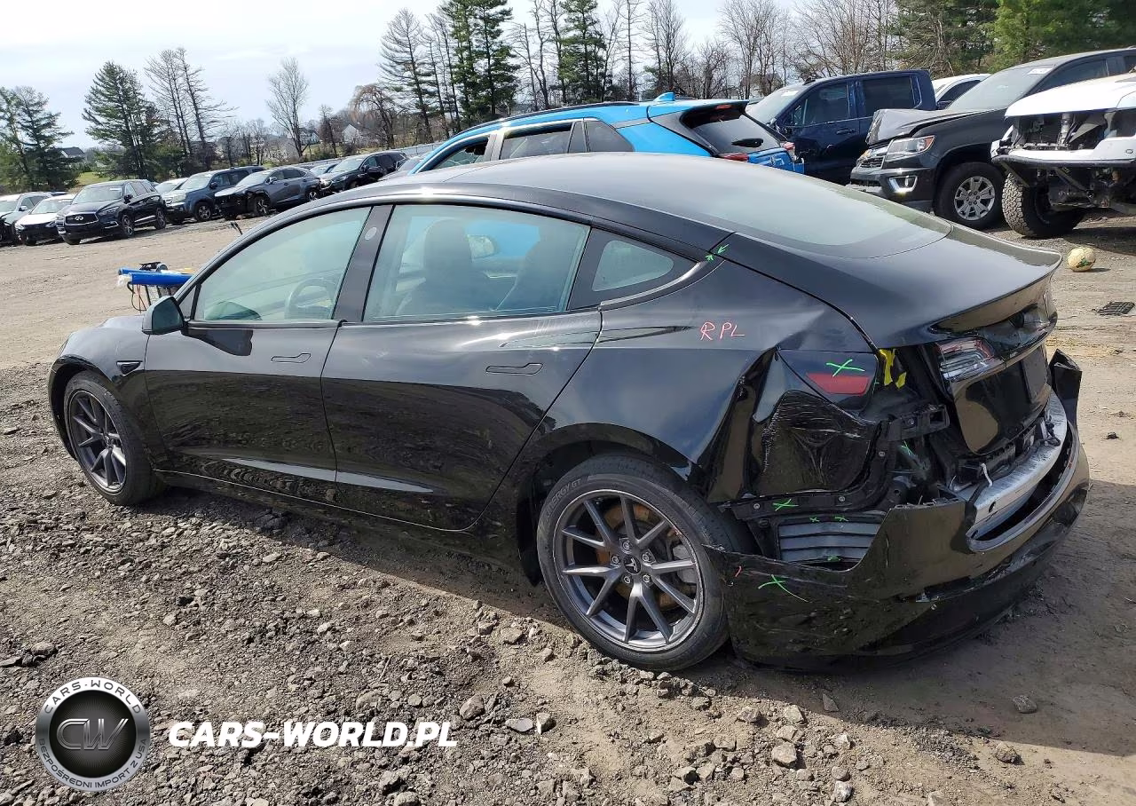 2021 Tesla Model 3 VIN:5YJ3E1EB3MF056360 - 2