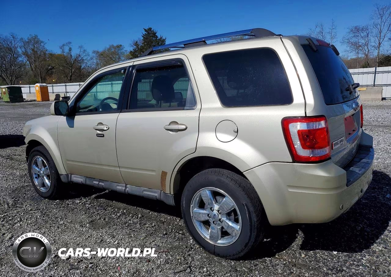2010 Ford Escape Limited VIN:1FMCU0EG8AKB07287 - 2