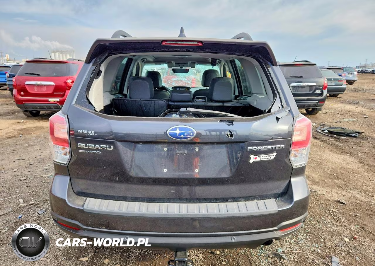 2018 Subaru Forester 2.5I Touring VIN:JF2SJAWC8JH480709 - 6