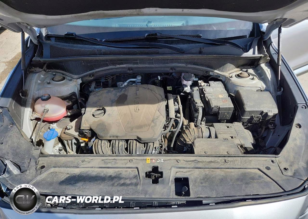 2021 Hyundai Santa Fe Sel VIN:5NMS2DAJ0MH351434 - 12