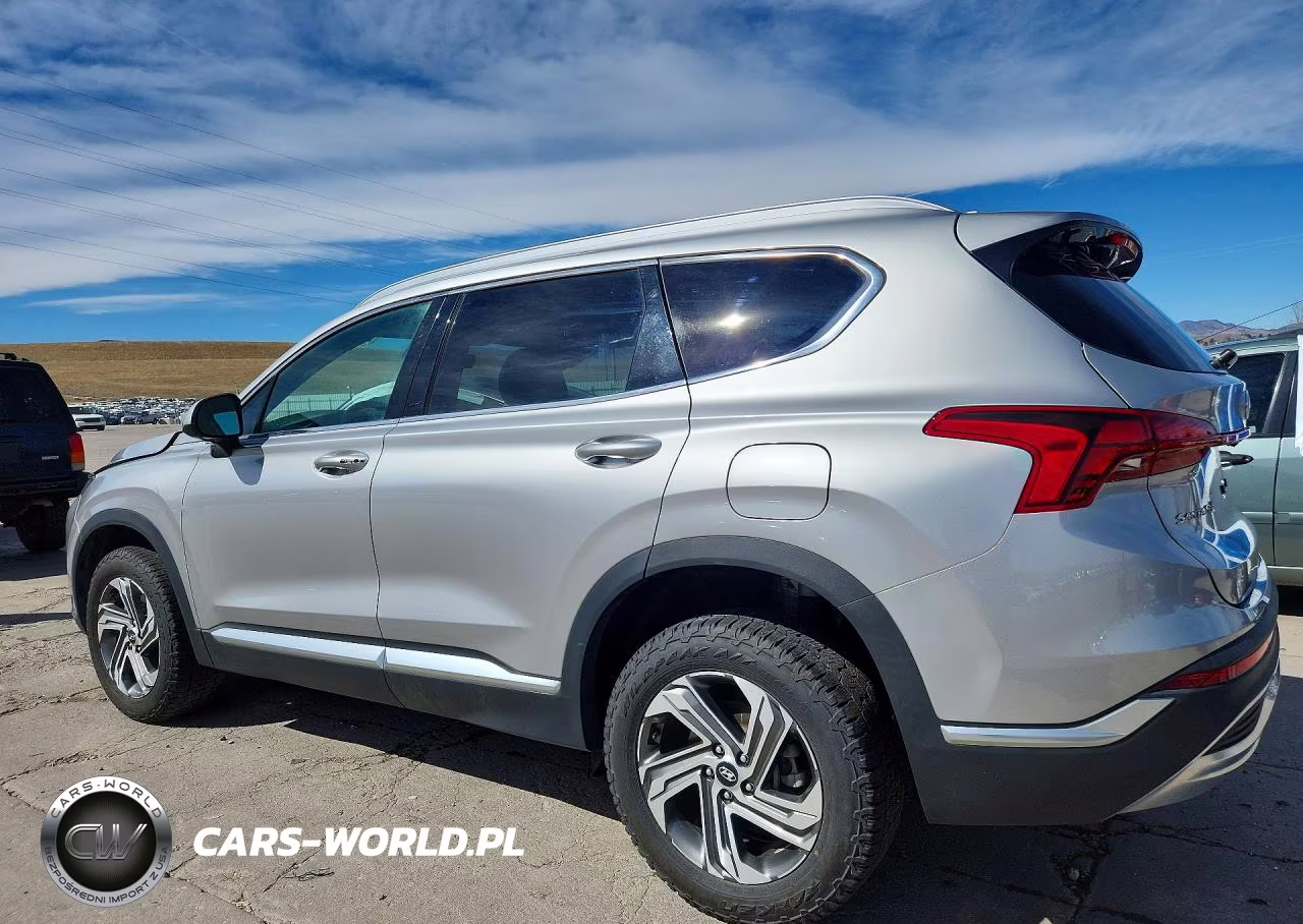 2021 Hyundai Santa Fe Sel VIN:5NMS2DAJ0MH351434 - 2