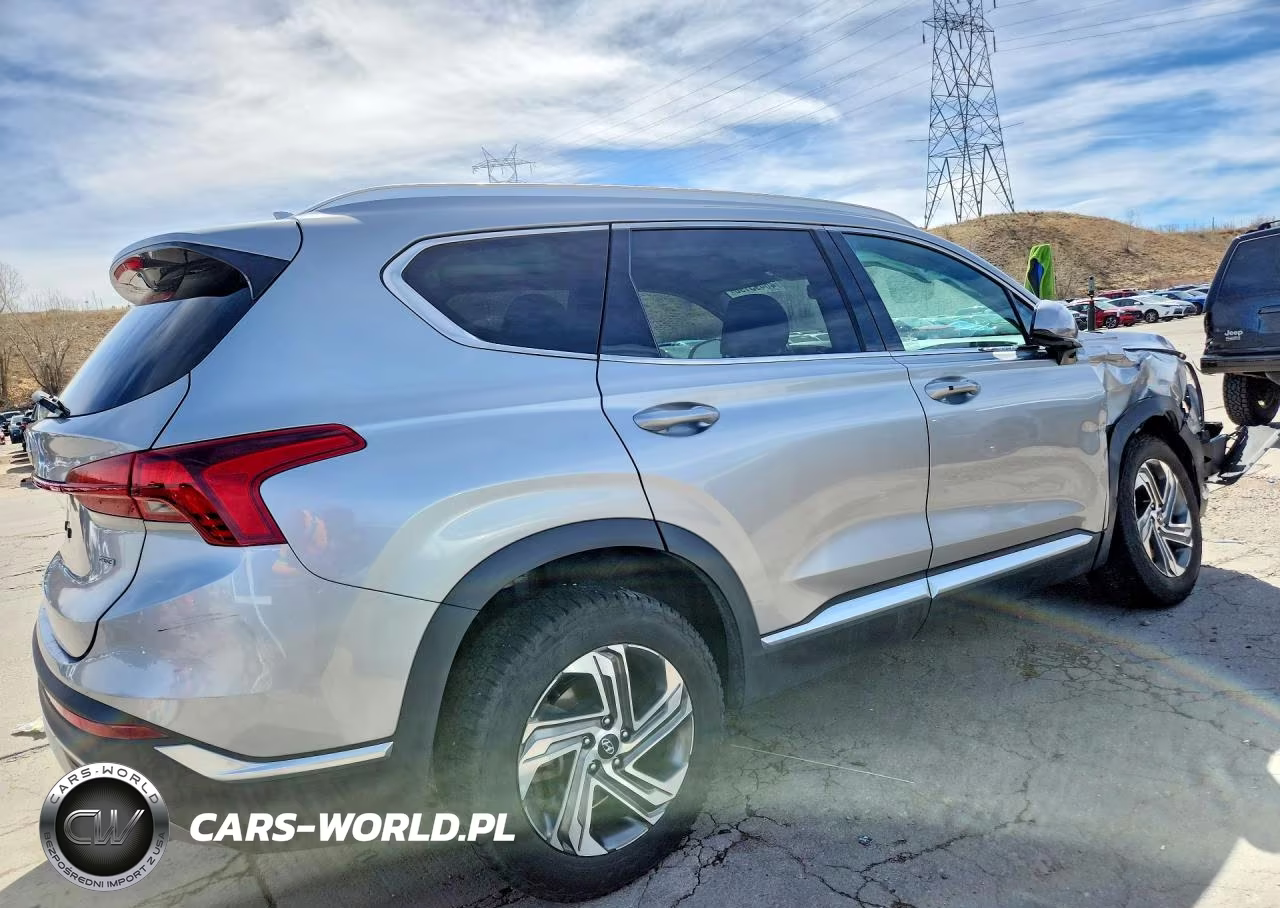 2021 Hyundai Santa Fe Sel VIN:5NMS2DAJ0MH351434 - 3