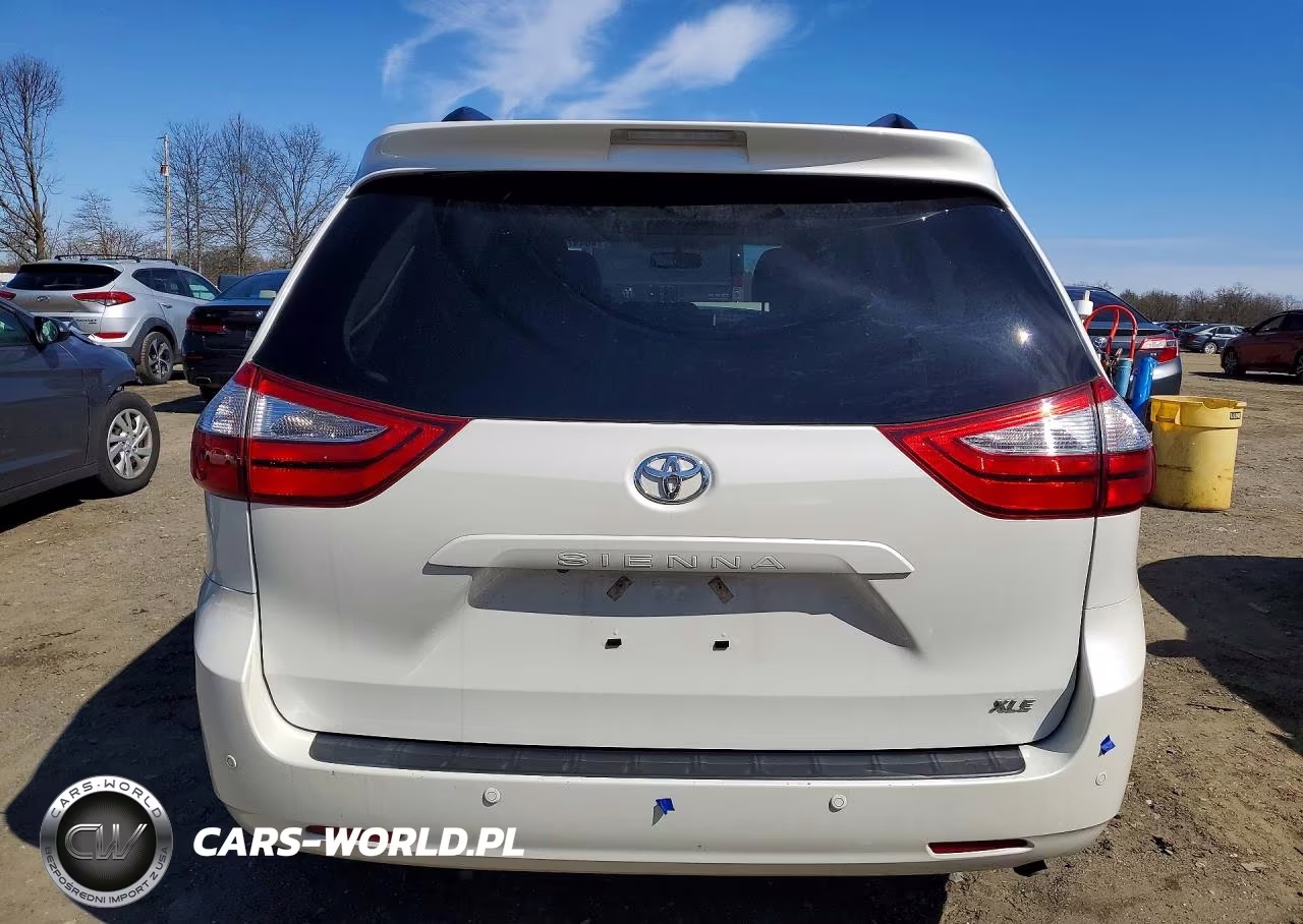 2017 Toyota Sienna Xle Premium 8-Passenger VIN:5TDYZ3DC3HS894521 - 6