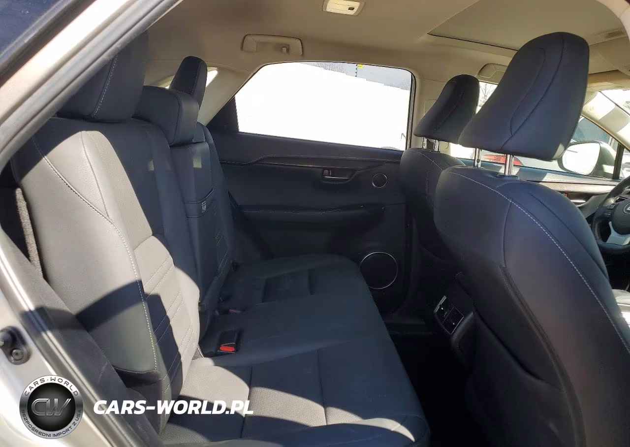 2020 Lexus Nx 300 Base VIN:JTJDARBZ3L5016289 - 11