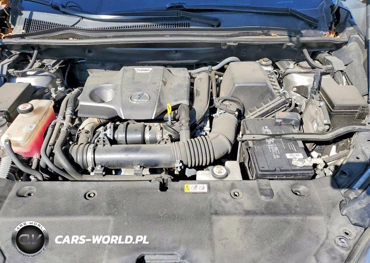 2020 Lexus Nx 300 Base VIN:JTJDARBZ3L5016289 - 12
