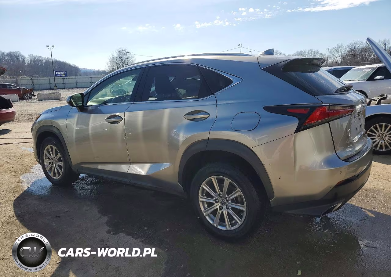 2020 Lexus Nx 300 Base VIN:JTJDARBZ3L5016289 - 2
