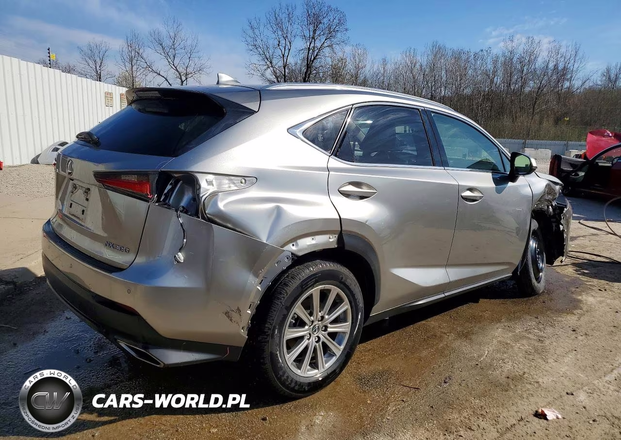 2020 Lexus Nx 300 Base VIN:JTJDARBZ3L5016289 - 3