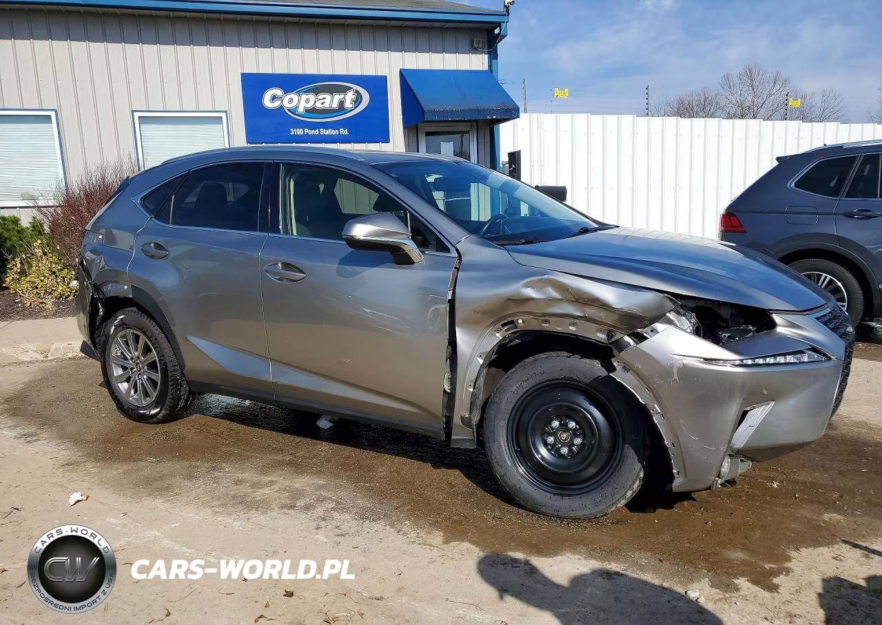 2020 Lexus Nx 300 Base VIN:JTJDARBZ3L5016289 - 4