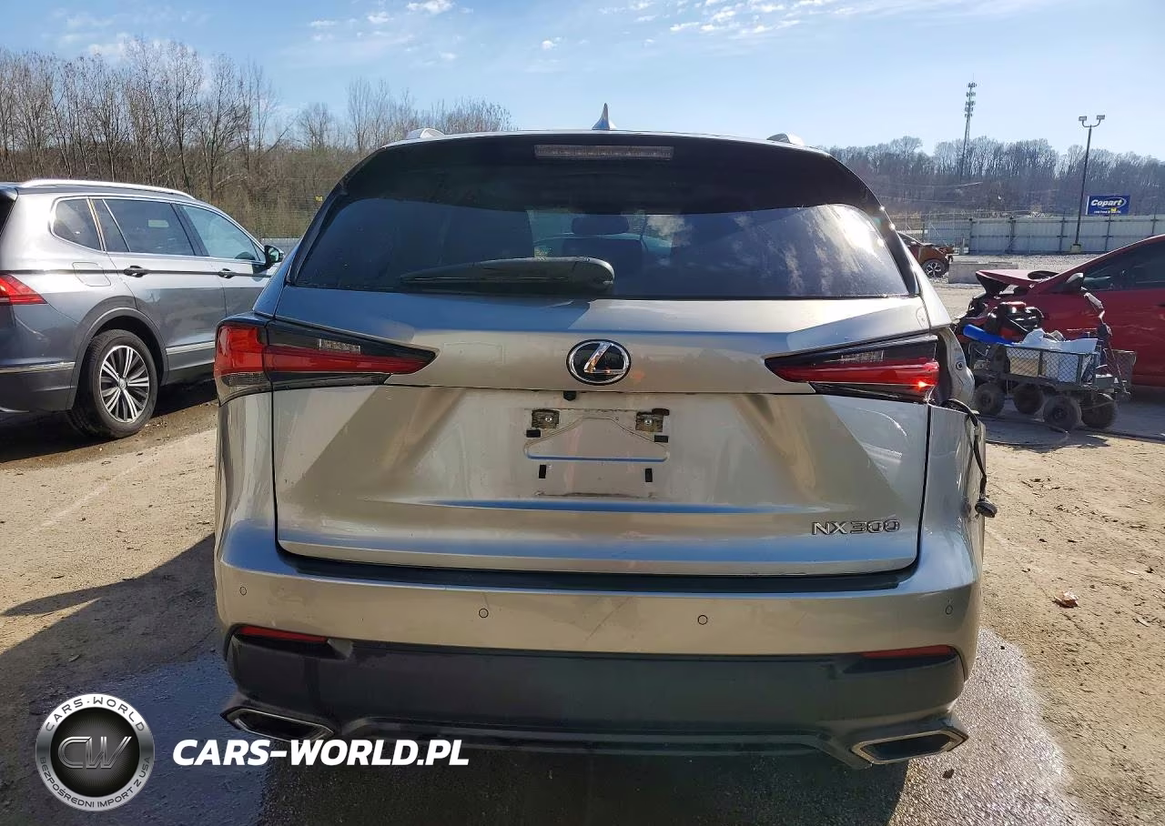 2020 Lexus Nx 300 Base VIN:JTJDARBZ3L5016289 - 6