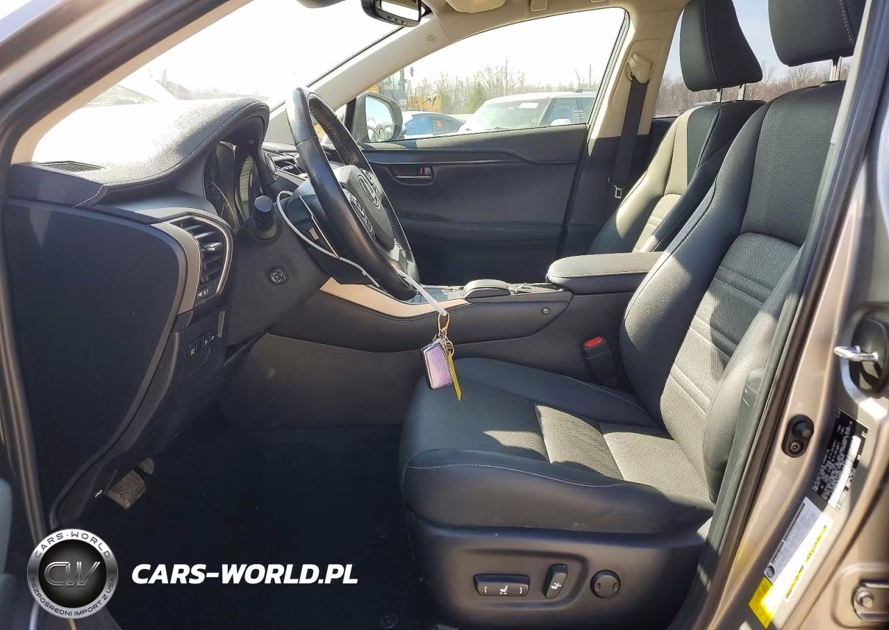 2020 Lexus Nx 300 Base VIN:JTJDARBZ3L5016289 - 7