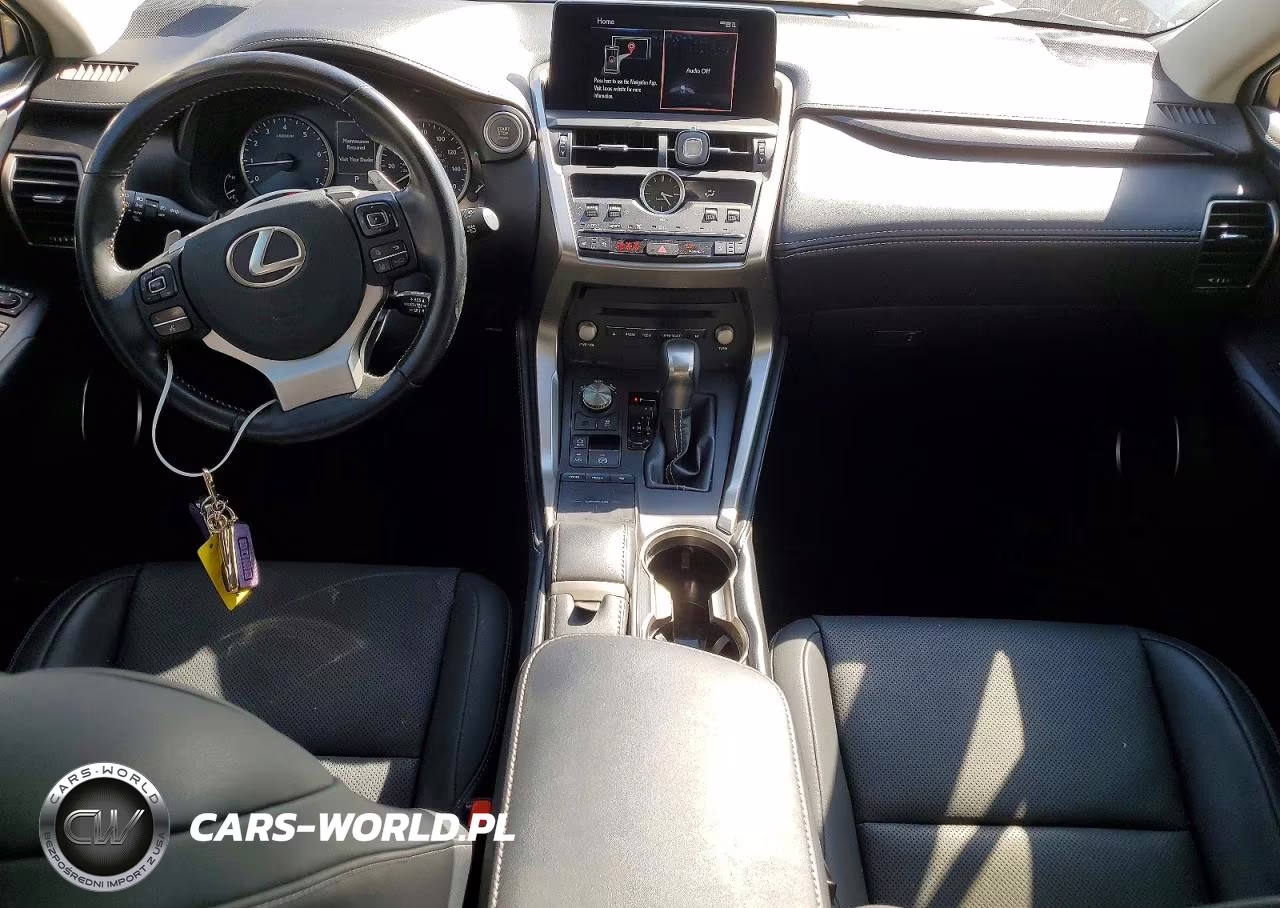 2020 Lexus Nx 300 Base VIN:JTJDARBZ3L5016289 - 8