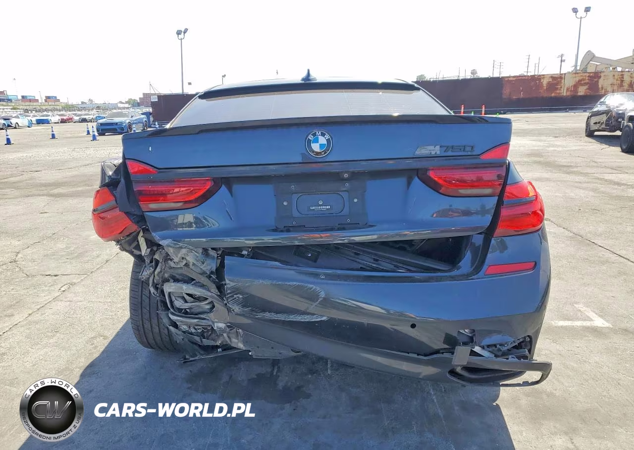 2019 BMW 750 I VIN:WBA7F0C5XKGM25835 - 6